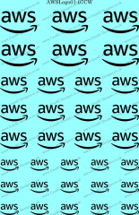 AWSLogo01-07CW