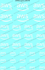 AWSLogo01-08CW