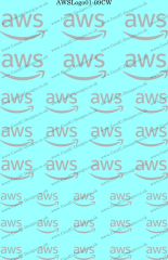 AWSLogo01-09CW