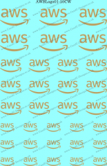 AWSLogo01-10CW