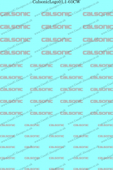 CalsonicLogo01.1-03CW