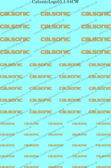 CalsonicLogo01.1-04CW