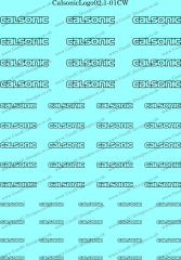 CalsonicLogo02.1-01CW