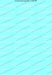 CalsonicLogo02.1-02CW
