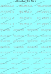 CalsonicLogo02.1-03CW