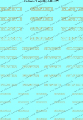 CalsonicLogo02.1-04CW