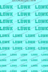 LibertyWalkLogo02.1-05CW